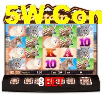 8bet: A Experiência de Casino com Jogos de Mesa ao Vivo